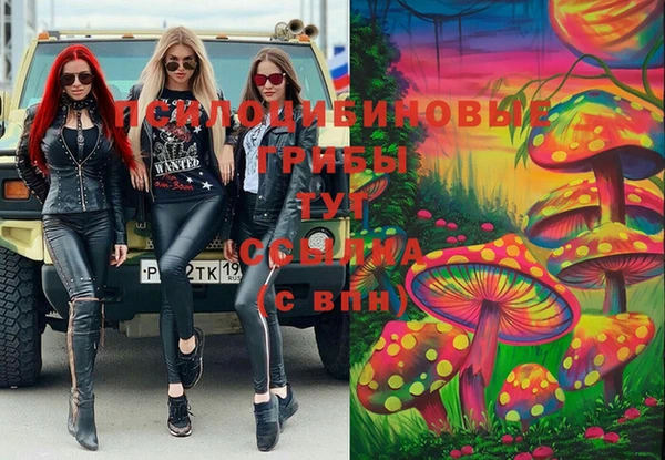 мескалин Арсеньев