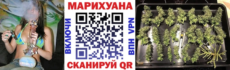 продажа наркотиков  Петушки  Бошки марихуана сатива 